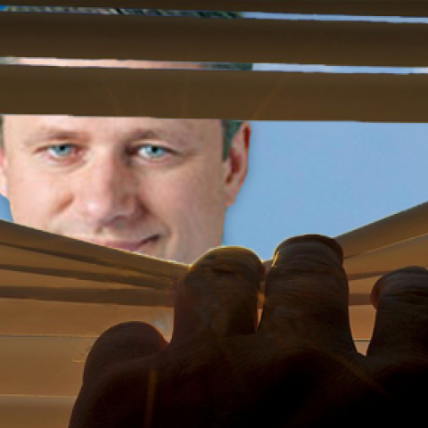 peeping-harper_thumb-1.png