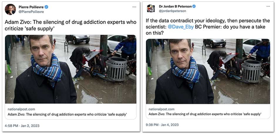 Pierre Poilievre and Jordan Peterson promote National Post article on Twitter